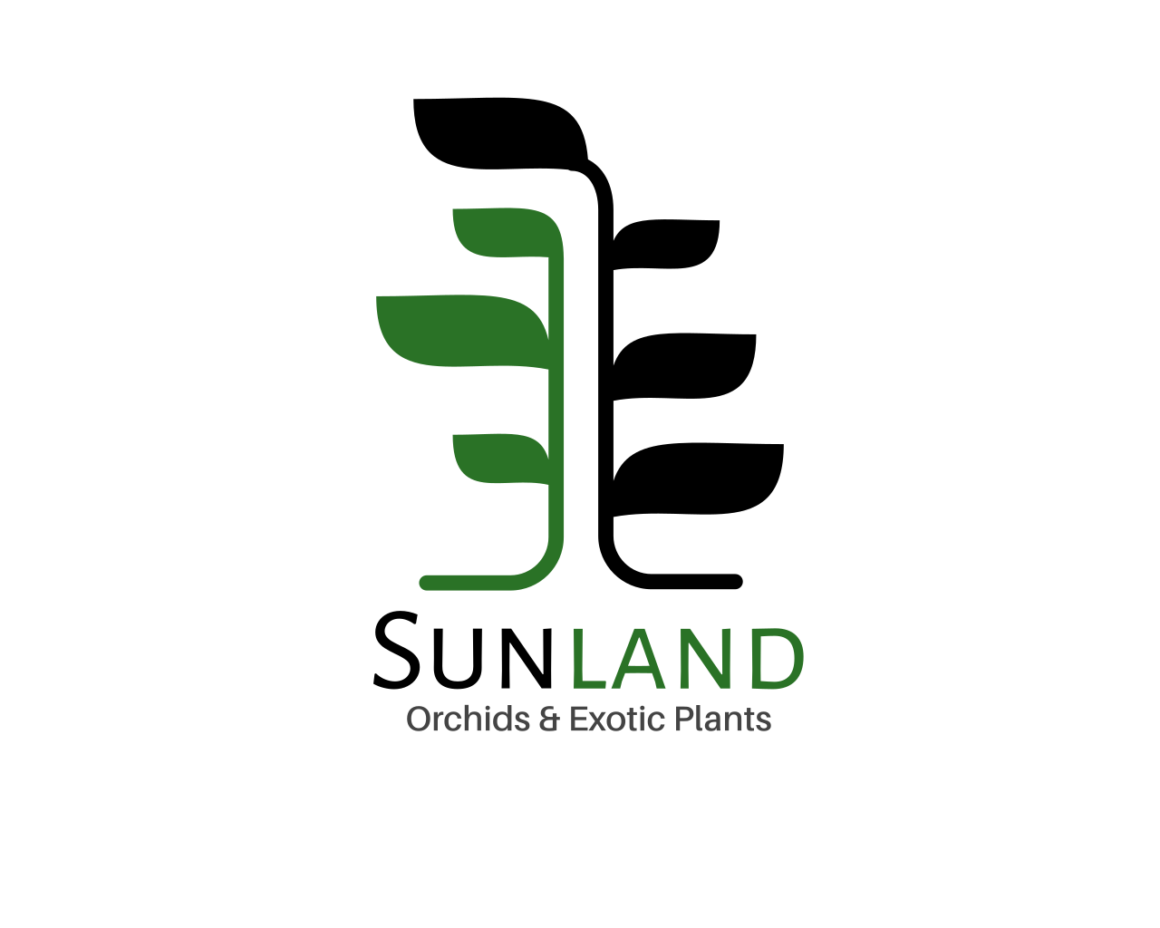 Import List | Sunland Orchids