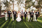 wedding party picture.jpg
