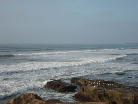 La Jolla beach, San Diego, CA