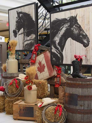 Stampede and Western Decor, Corporate and Retail Calgary