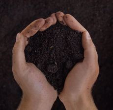 WORM CASTINGS