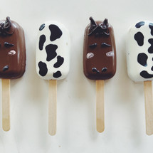 Cakecicles | Ginger and Spice Cakery | Okotoks
