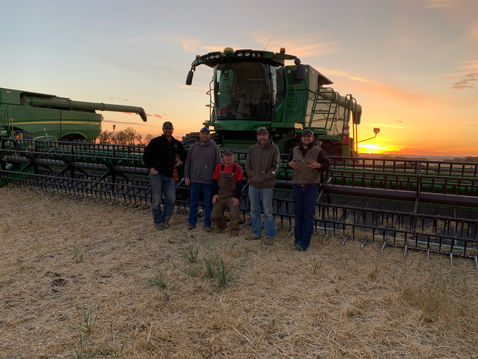 Avonlea Farm Ventures Ltd.