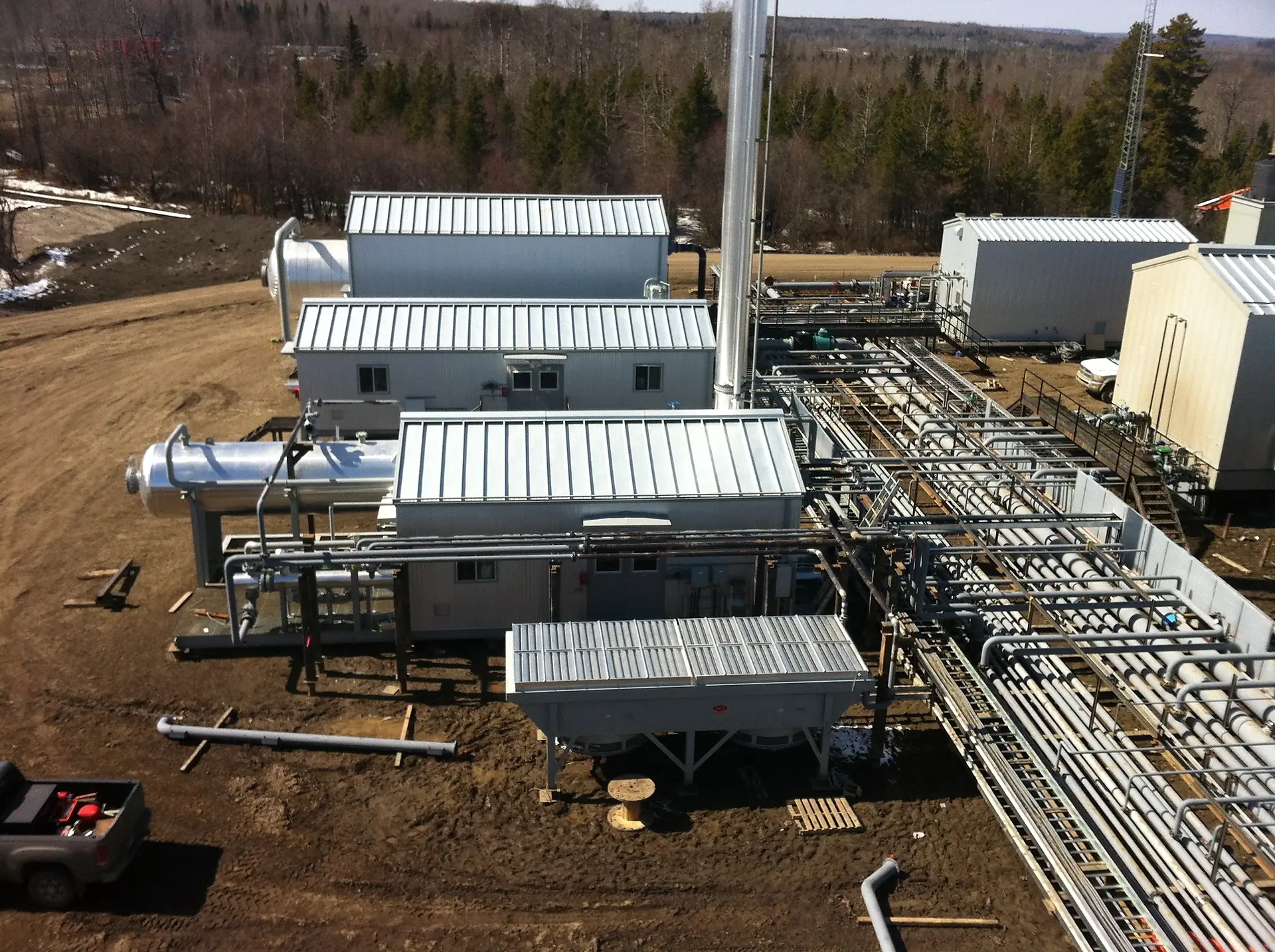  Nuvista Plant Wapiti 