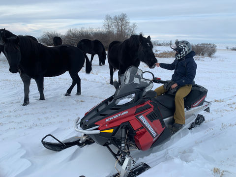 Avonlea Farm Ventures Ltd.