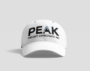 Peak Consulting Logo Design