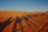 Chameaux Sahara Merzouga_edited.jpg