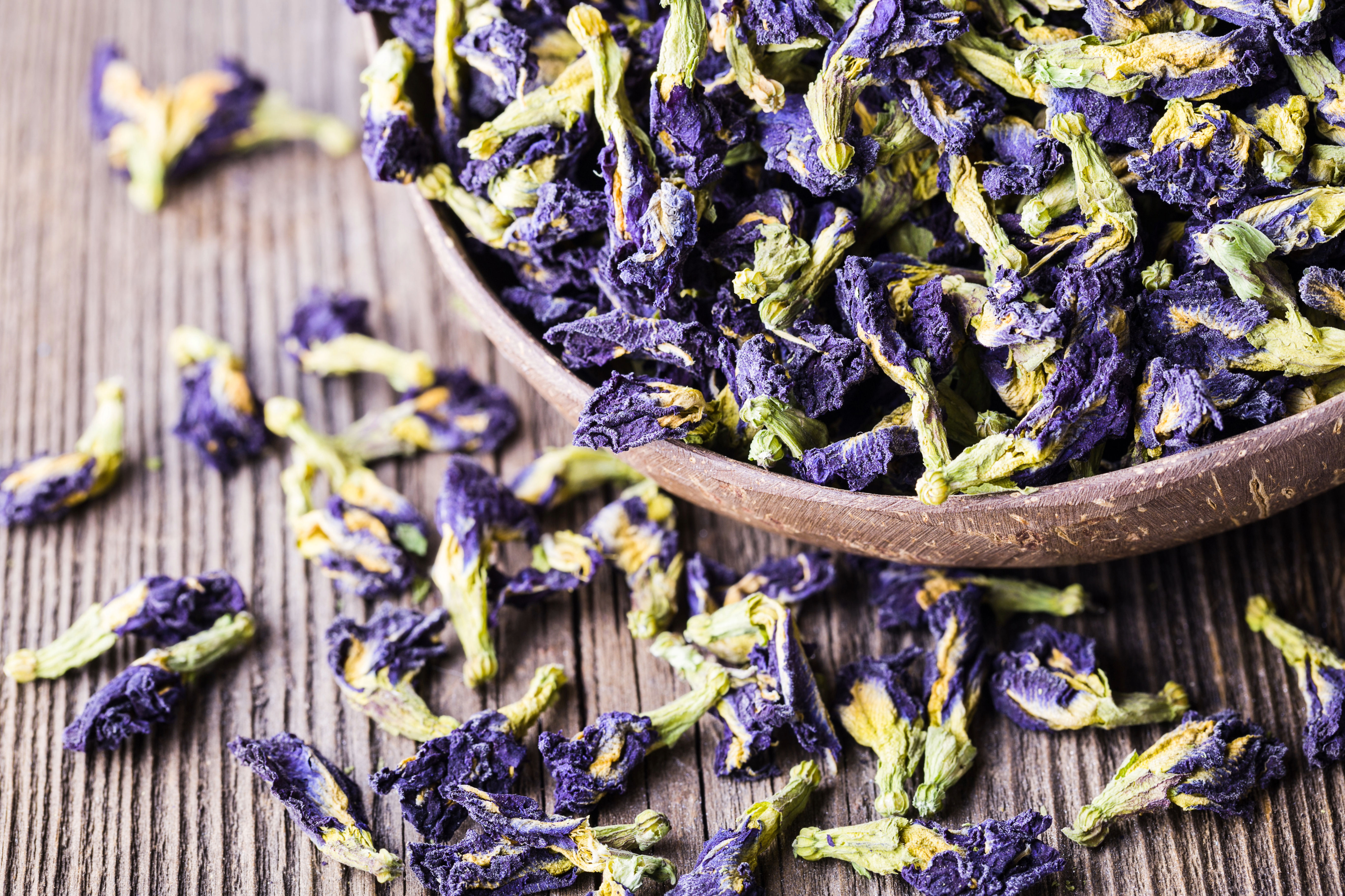 Organic Butterfly Pea Flower Tea at Entheogenic Emporium