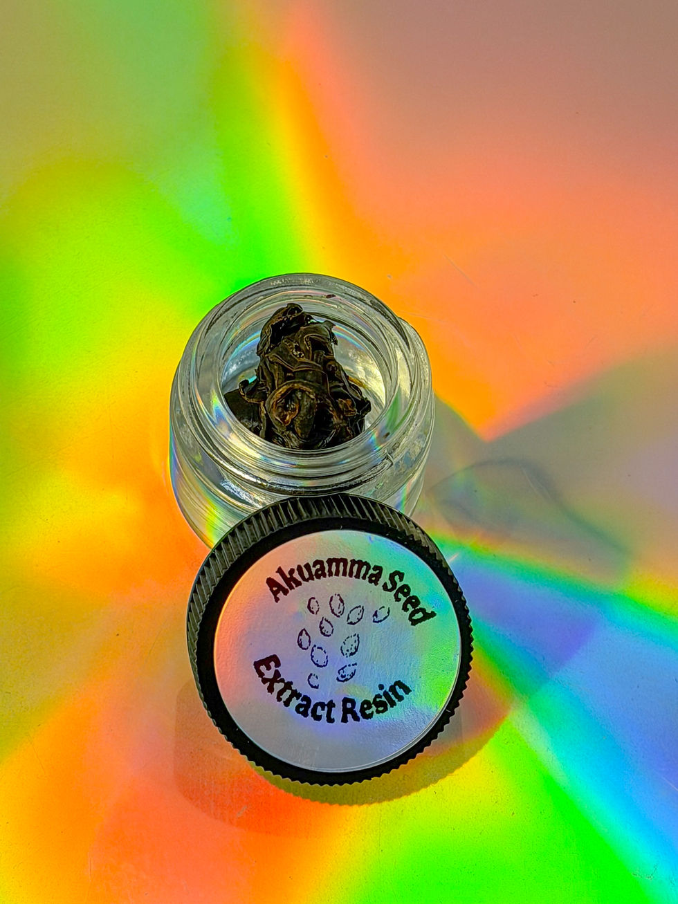 Akuamma seed extract resin in clear jar with labeled black lid on gradient background.
