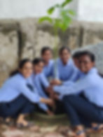 plantation22.jpg