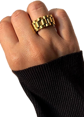 Watch belt Anti tarnish ring