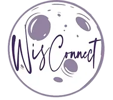 wisconnect logo2.webp