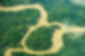 IEA-USP/Consulado Geral do Reino Unido - Diálogo Brasil-Reino Unido Pré-COP30: Da Ciência às Políticas Públicas