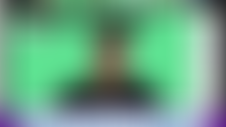 Relatório de Progresso: 1º Advocacy Day - Workshop de capacitação - Finalista Concurso de Melhores Projetos de CCNTs 2024