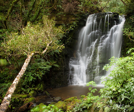Horseshoe Falls, The Catlins
