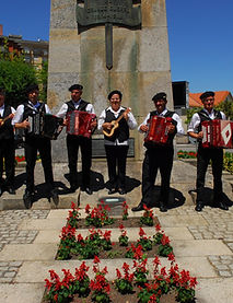 Grupo de concertinas