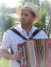 Grupo de concertinas