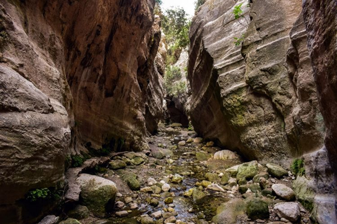 Gola di Avkas, Paphos