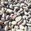 Thumbnail: Serenity River Rock