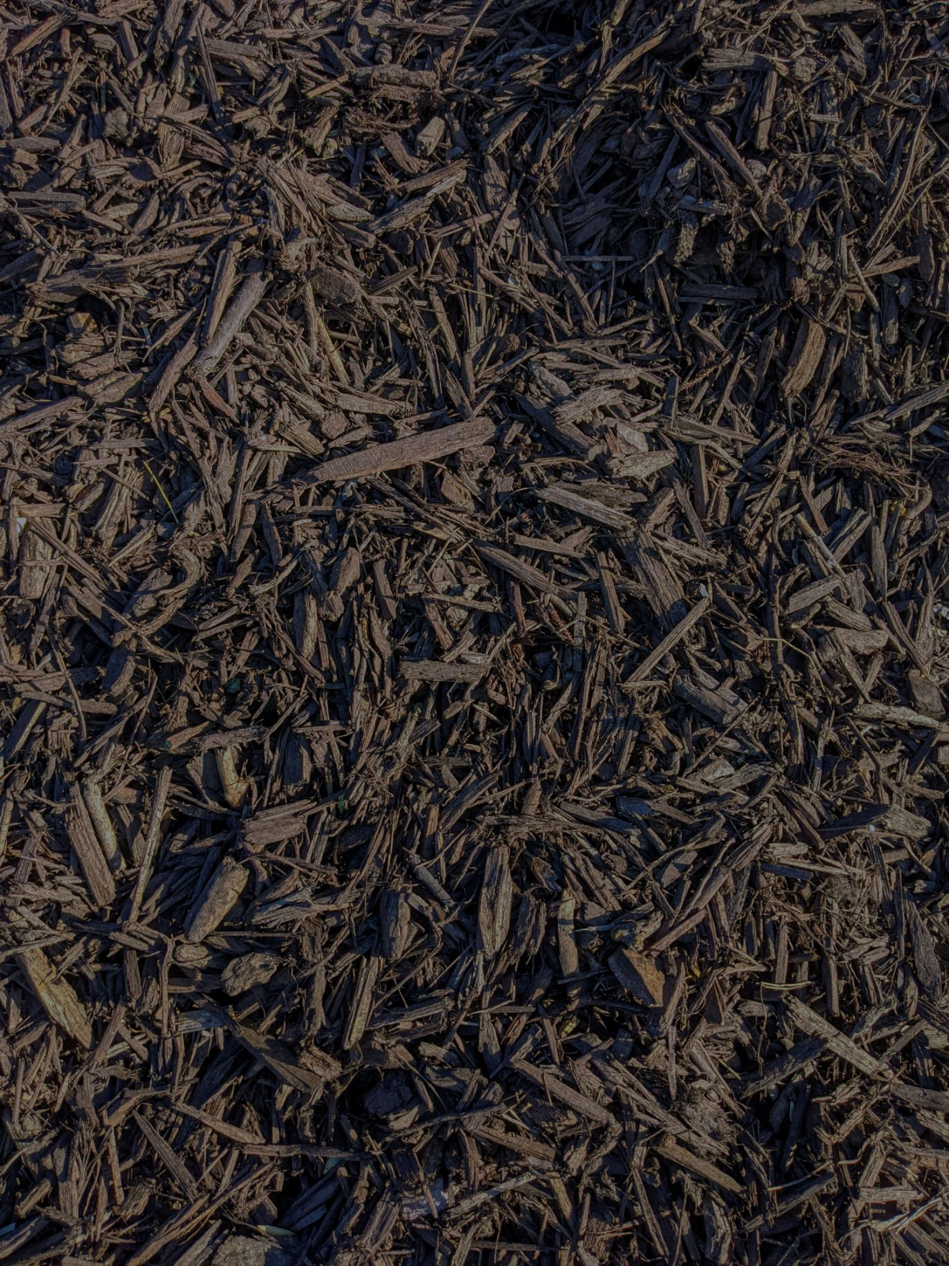 Chocolate/Brown Mulch