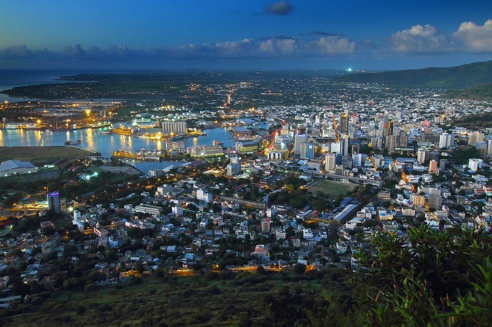 Aerial view of a city at dusk, with buildings and illuminated streets next to a river. The sky is dark blue, and greenery is in the foreground.