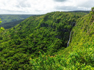 Exploring the Natural Splendor of Black River Gorges National Park