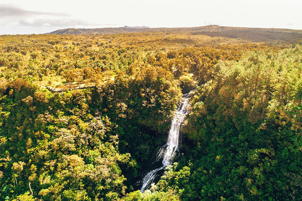 Alexandra Falls View Point: A Hidden Gem in Mauritius