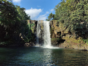 Discover the Hidden Gem of Mauritius: Cascade Minissy Waterfall