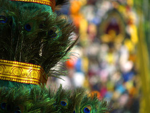 Cavadee: A Hindu Festival of Devotion and Penance