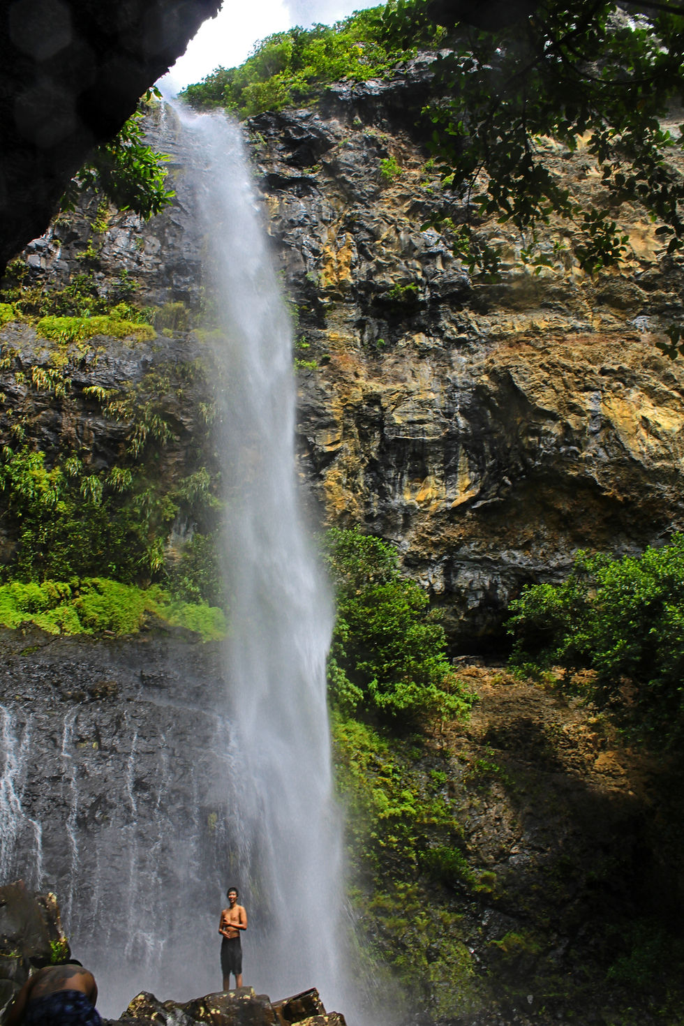 Discover the Hidden Gem: Mare Aux Joncs Waterfall at Black River Gorges National Park