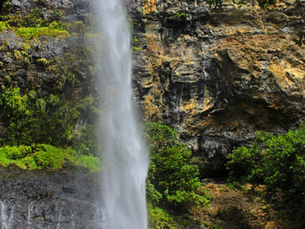 Discover the Hidden Gem: Mare Aux Joncs Waterfall at Black River Gorges National Park