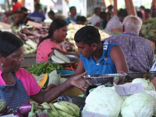 West Coast Mauritius: Uncovering the History and Culture