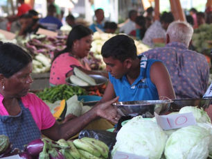 West Coast Mauritius: Uncovering the History and Culture