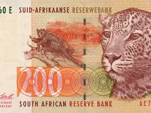 Rand to Mauritian Rupee: Insights and Trends | Mauritius Life