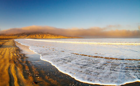 AdobeStock_14045552.jpeg