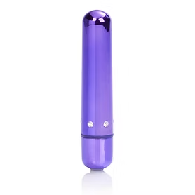 Purple Bullet Vibrator