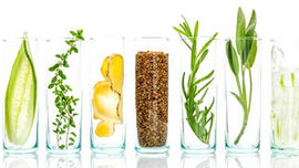 Você sabe o que são os Fitocosméticos? Será que usar vaselina ainda vale a pena? 