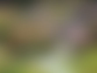 Miyama אזור כפרי אותנטי