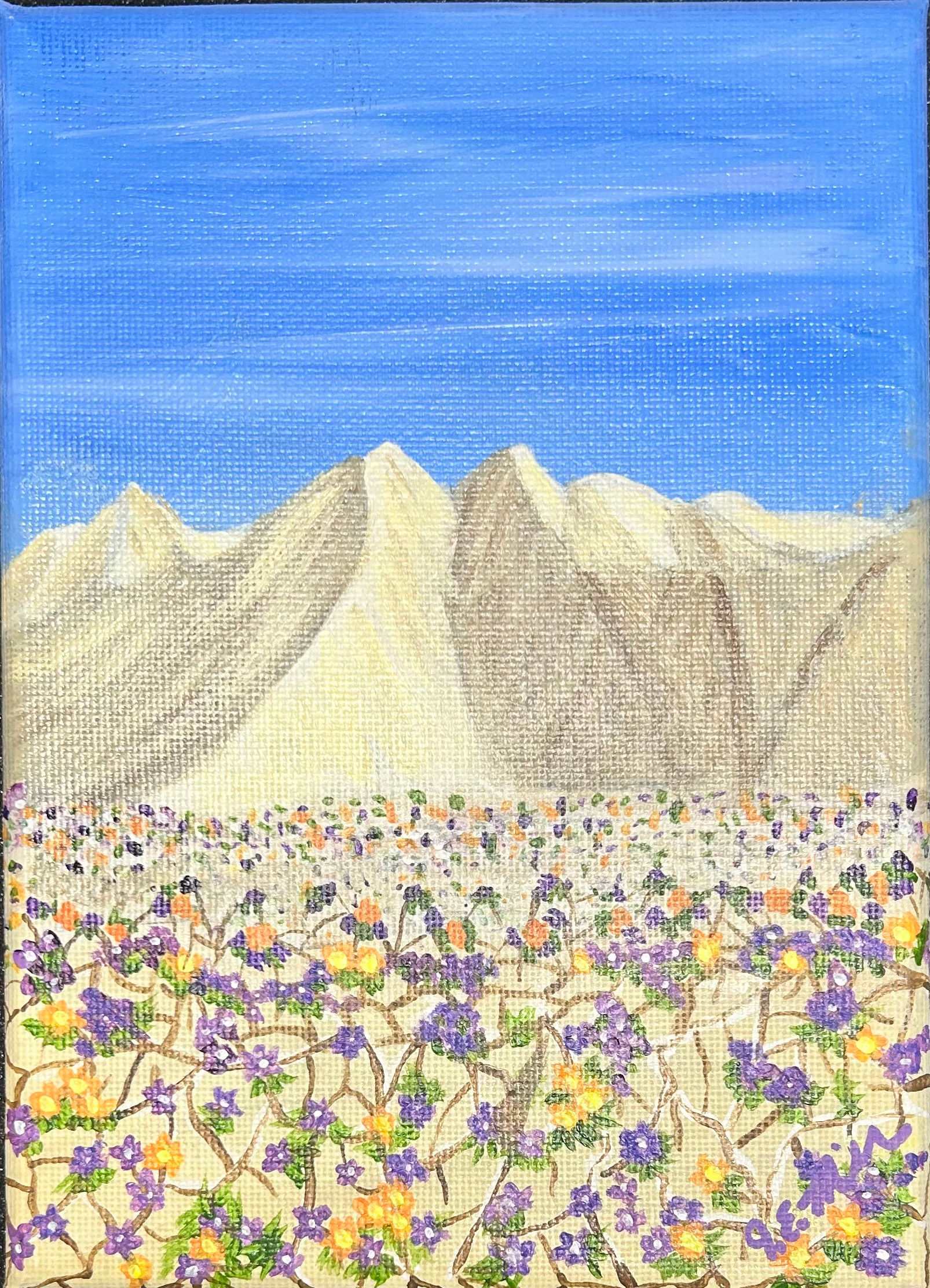 Cracked desert sand and flowers