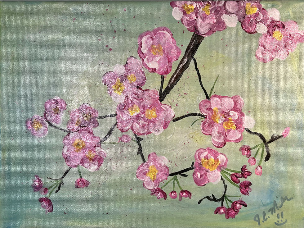 Cherry Blossoms