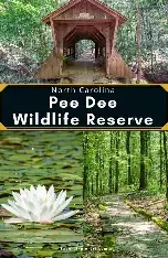 Pee Dee NWR