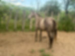 IMG-20250707-WA0047