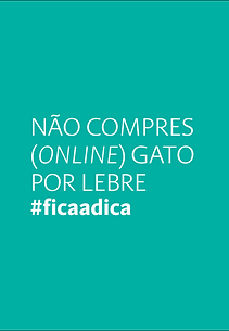 MicrosoftTeams-image (9).png