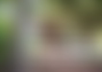 Discover the Charm of the Bluebird Cottage 