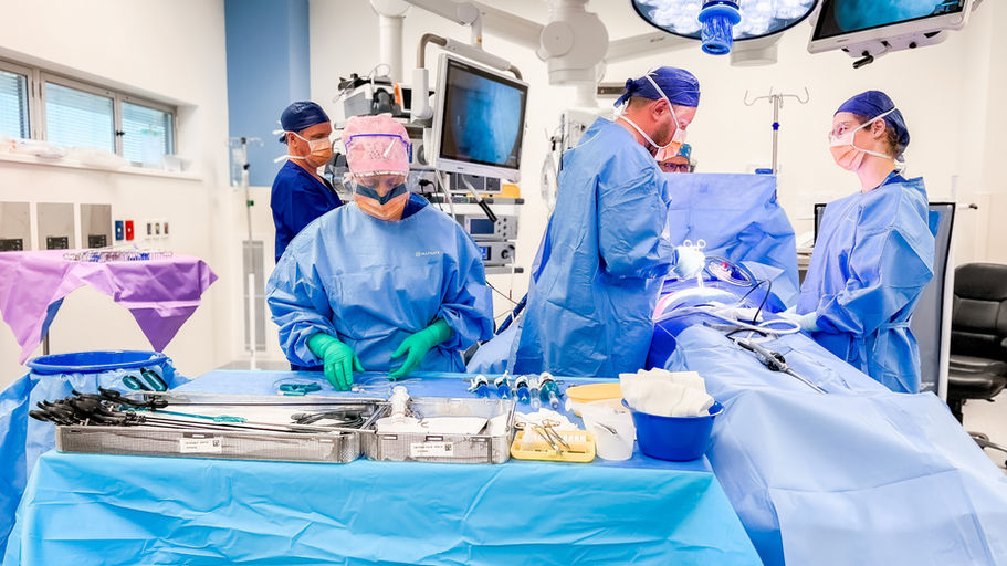 endoscopy.jpeg