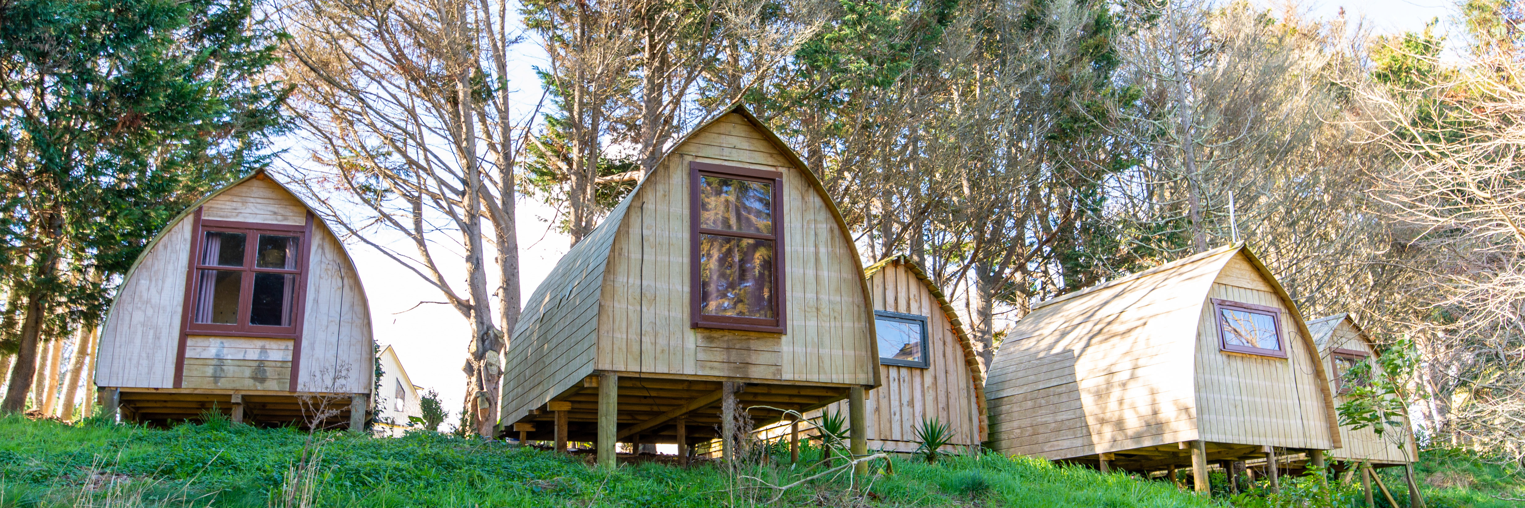 Bnb Morning Calm Lodge New Zealand