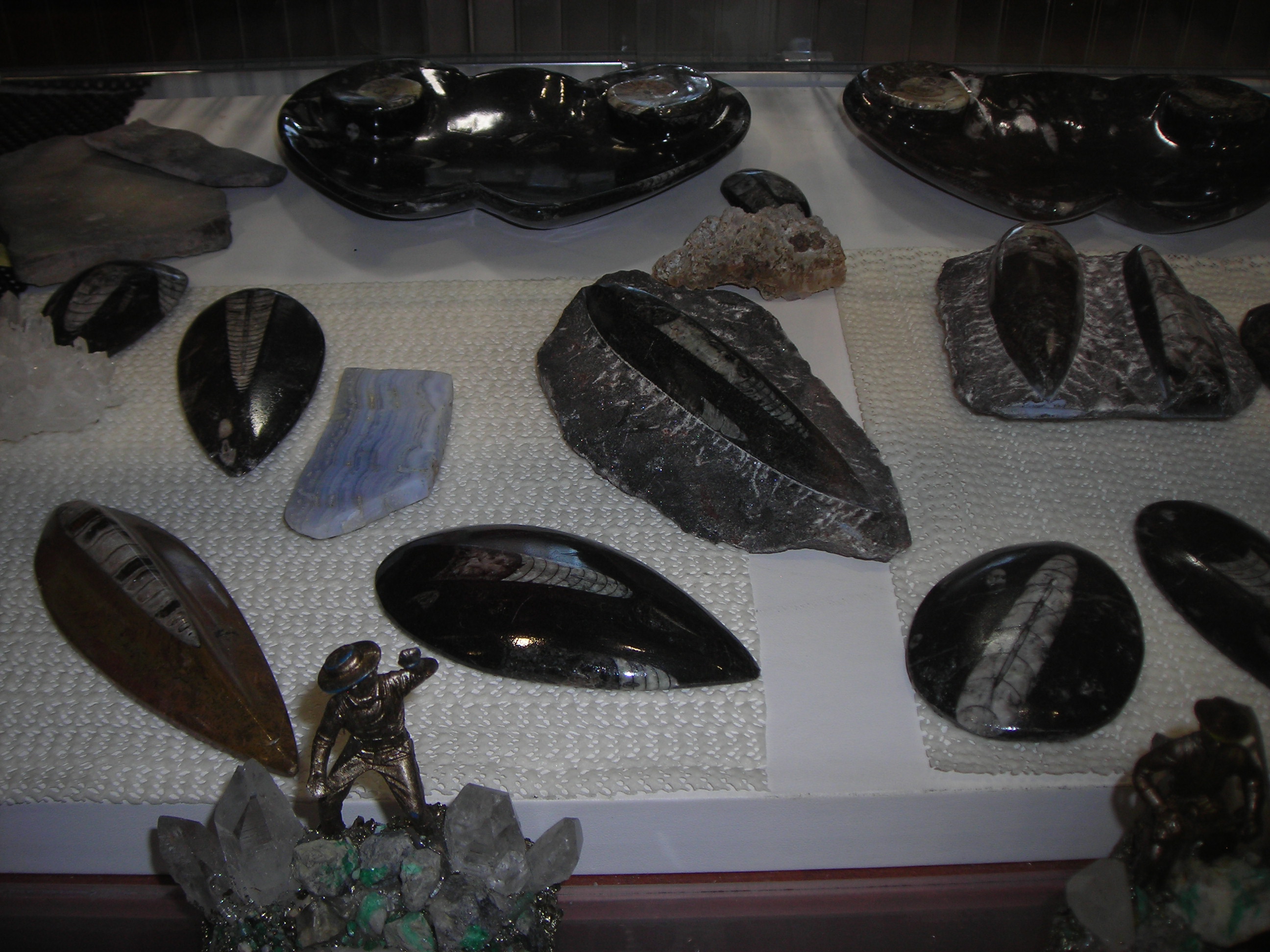 DSCN0053.JPG