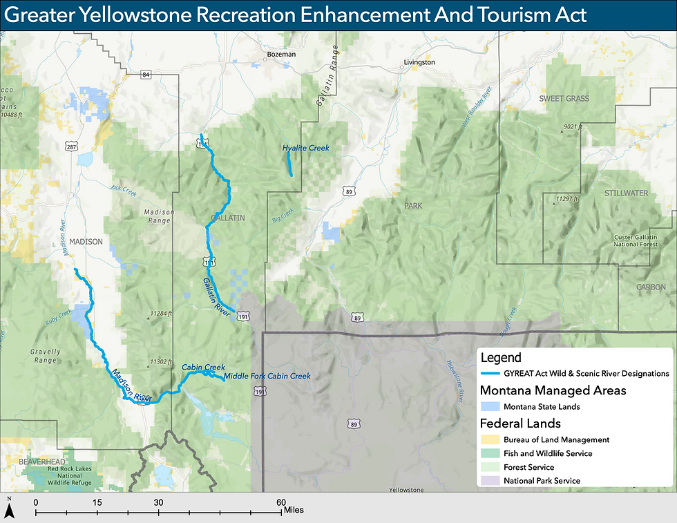 GYRETA w. out Yellowstone.png
