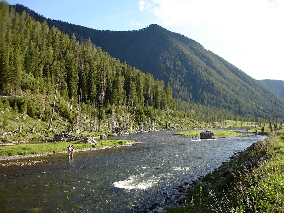 Upper Madison Scott Bosse.JPG