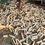 Thumbnail: Ivory Wood